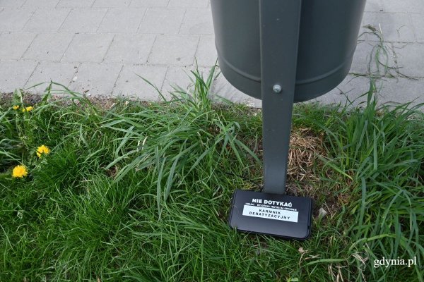 Deratyzacja w Parku Centralnym. Co warto wiedzieć?