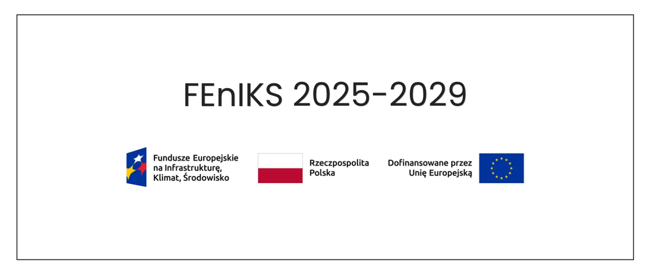 FEnIKS 2025-2029