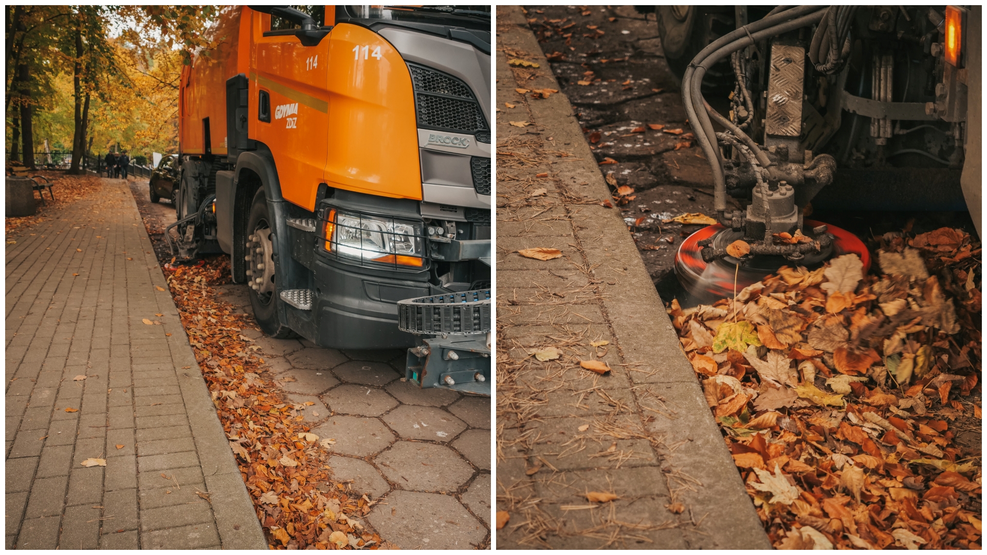 Jesienne porządki w Gdyni. Kto odpowiada za sprzątanie liści?