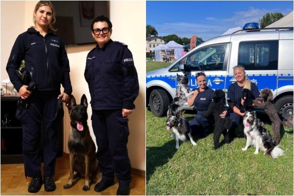 Ma cztery łapy i ważne zadanie. Zimi rozpoczęła służbę w policji