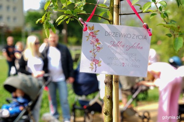 Nowe Drzewko Życia w Parku Centralnym