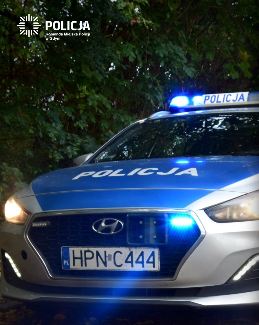 Obywatel Gruzji ukarany mandatem za kradzież alkoholu. Był poszukiwany przez szwedzki wymiar sprawiedliwości.