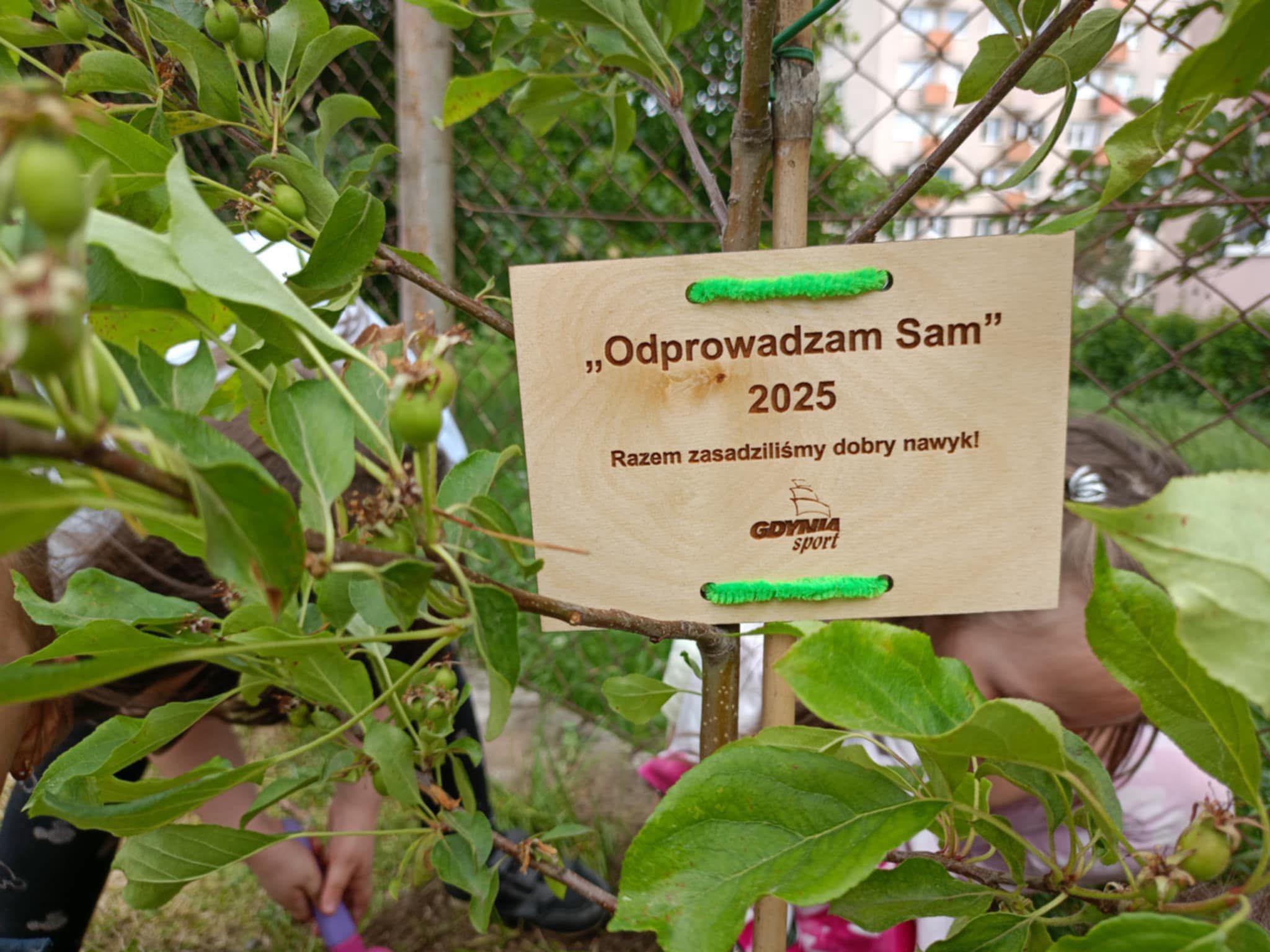 „Odprowadzam Sam 2026” – zbliża się jesienna edycja