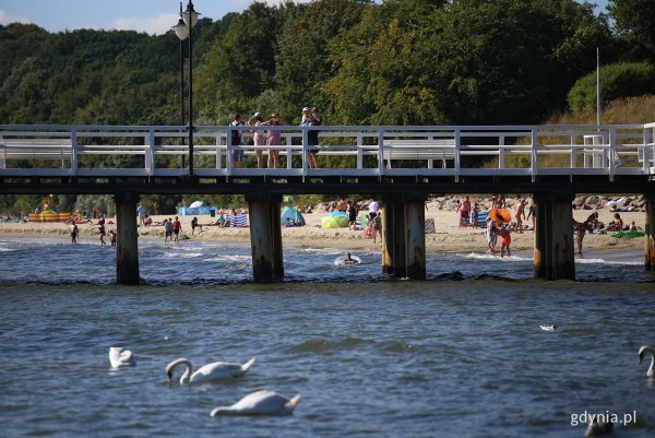 Raport z kąpielisk – 14 lipca. Cztery białe flagi powiewają w Gdyni