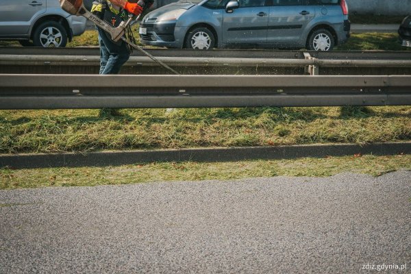 Trwają wiosenne porządki na miejskich terenach zielonych w Gdyni