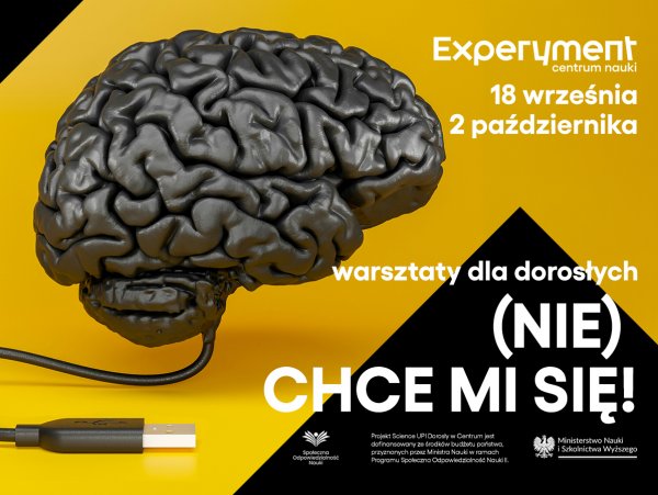 Warsztaty dla dorosłych. (Nie) chce mi się!