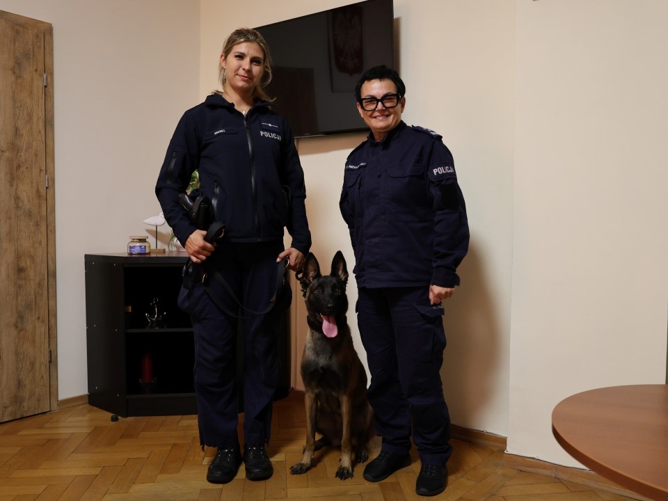 ZIMI - nowy pies służbowy w gdyńskiej Policji.